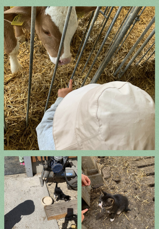 Besuch auf dem Bauernhof