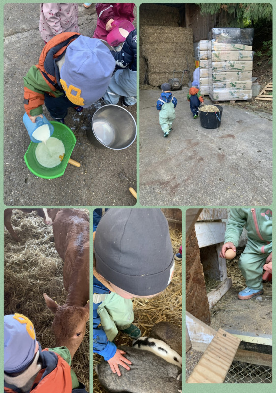 Ausflug Erlebnisbauernhof